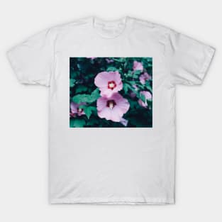 Two Hibiscus Flowers T-Shirt